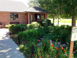 Chappelle Small Animal Vet Hospital