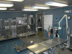 Chappelle Small Animal Vet Hospital